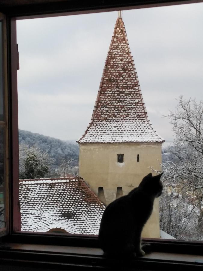Casa Cojo Appartement Sighişoara Buitenkant foto