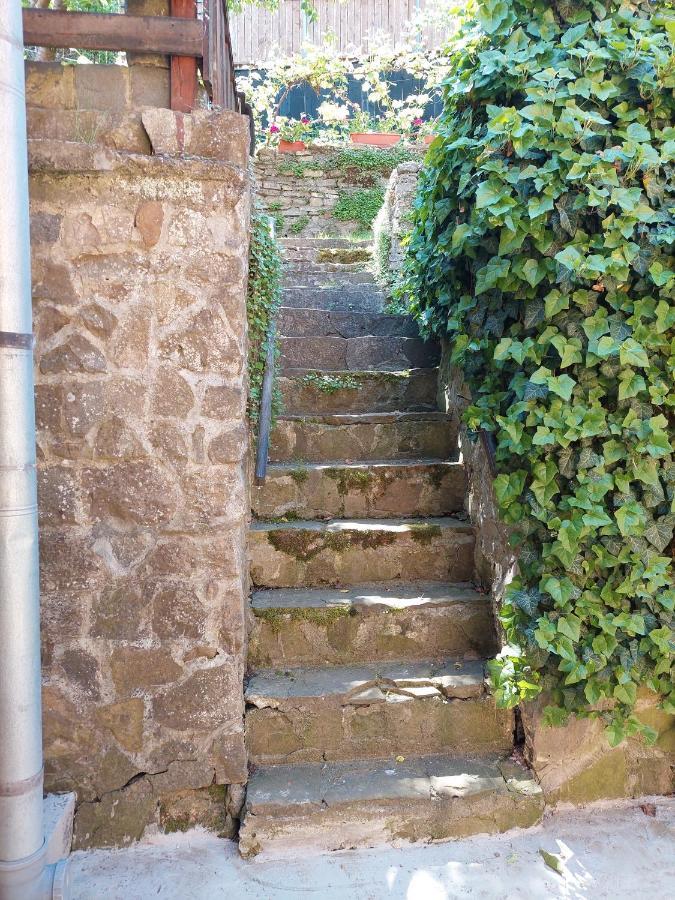 Casa Cojo Appartement Sighişoara Buitenkant foto